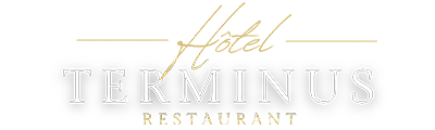 Hôtel Restaurant Le Terminus